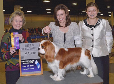 Smooch wins BOB, first major at Greenville KC show