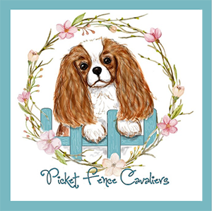 Picket Fence Cavaliers